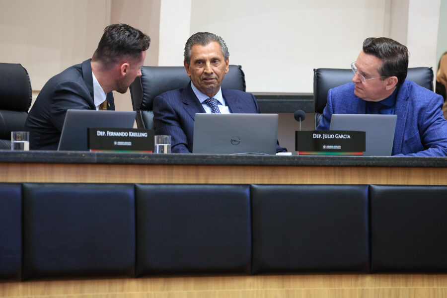 - Deputado Fernando Krelling (MDB) 	
- Deputado Julio Garcia (PSD)  - Deputado Jair Miotto (União)