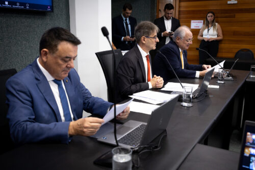 Comissão de Saúde aprova políticas para pacientes com Parkinson e cria Dia da Mãe Atípica em SC