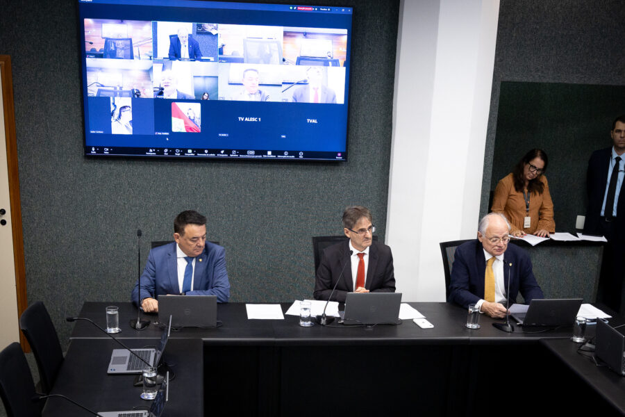 - Deputado Maurício Peixer (PL)
- Deputado Neodi Saretta (PT) 	
 - Deputado Dr. Vicente Caropreso (PSDB)