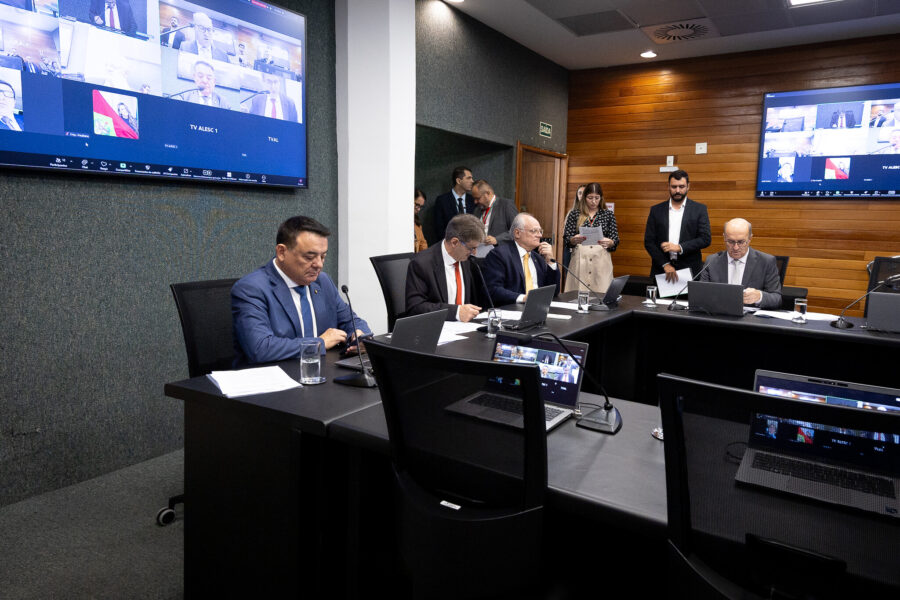 - Deputado Maurício Peixer (PL)
- Deputado Neodi Saretta (PT) 	
 - Deputado Dr. Vicente Caropreso (PSDB)