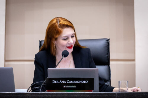 - Deputada Ana Campagnolo (PL)