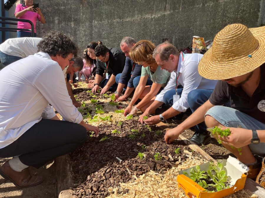 Foto: Fabricio Escandiuzzi