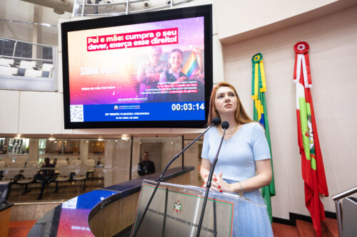 Deputada Ana Campagnolo, autora do projeto que deu origem à lei, ocupou a tribuna na sessão desta quinta (23)