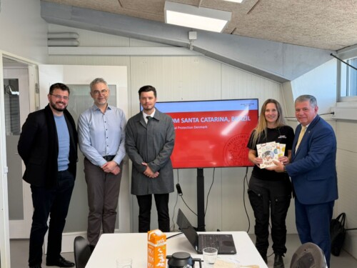 Mário Motta viabiliza parceria gratuita com centenária entidade dinamarquesa dedicada à proteção animal