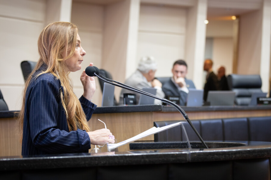 Deputada Paulinha discursa na tribuna da Alesc.