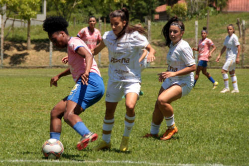 Alesc recebe projetos sobre segurança pública, saúde e proteção animal