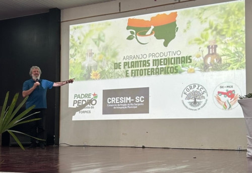 Lançado projeto de cultivo de plantas medicinais para fabricação de fitoterápicos