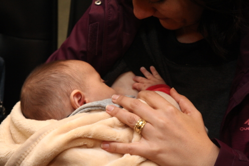 Congresso Catarinense de Aleitamento Materno ocorre nesta quarta-feira (15)
