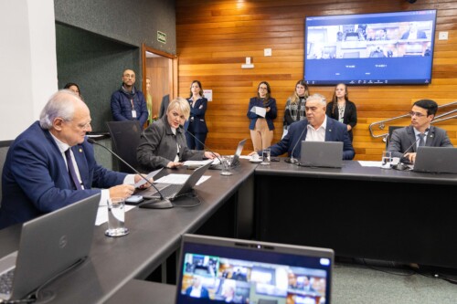 Comissão dos Direitos da Pessoa com Deficiência