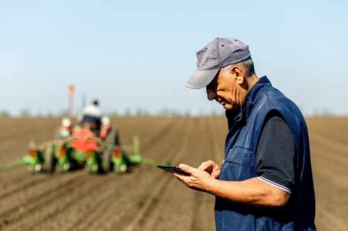 Novos projetos propõem mudanças em áreas como saúde, educação, cotas e internet rural