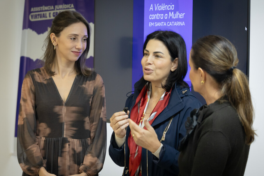 Relatório sobre violência contra a mulher é lançado com participação da Alesc e do OVM-SC