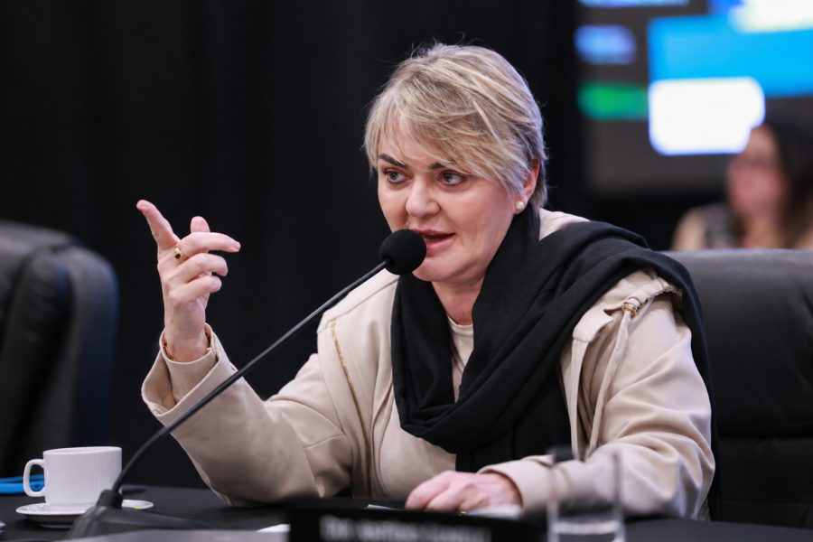 Deputada Luciane Carminatti.