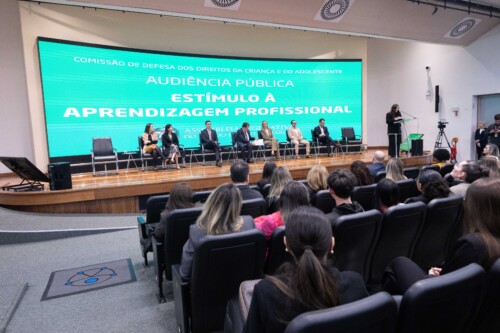 Audiência Pública com o objetivo de discutir o estímulo à aprendizagem profissional