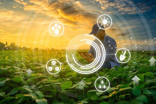 Projetos aprovados ampliam internet no meio rural e mudam sistema de certificação de produtos da agroindústria familiar