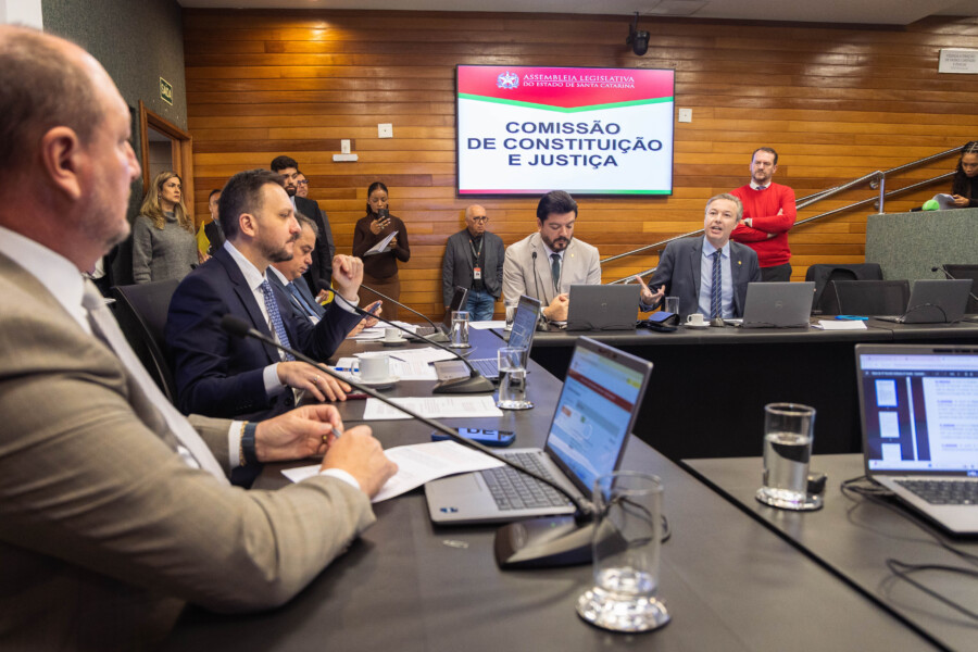 Comissão de Constituição e Justiça.