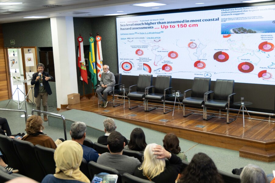 Manguezais ameaçados têm importância ambiental, social e econômica