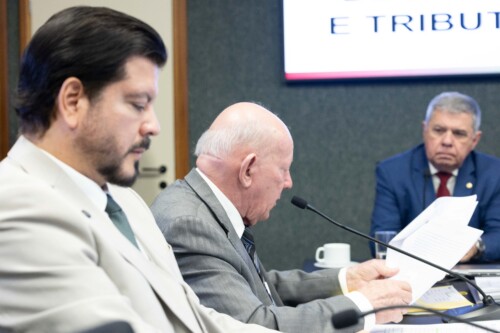 Reunião da Comissão de Finanças da Alesc, na manhã desta quarta-feira (1º)