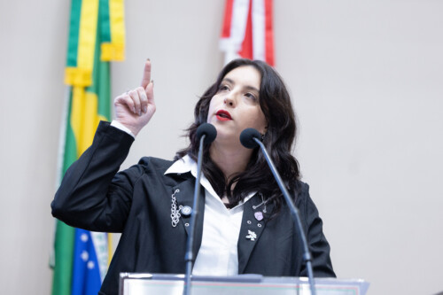 Cerimônia de posse – Deputada Suplente Carolline Sardá
