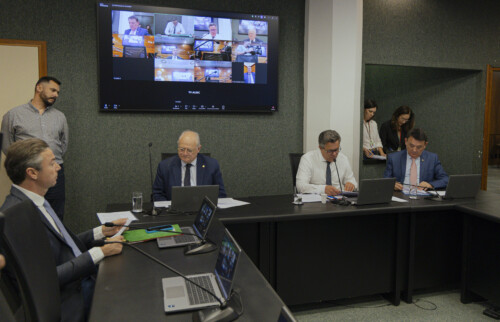 Comissão delibera projetos com temas ligados ao patrimônio público, segurança e proteção social